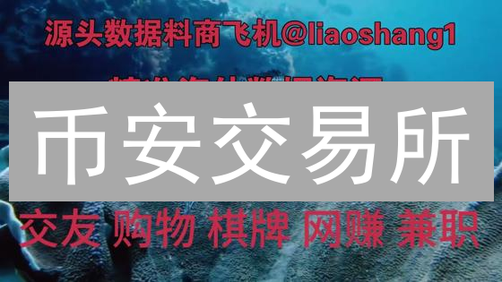 币安交易所：数据安全与用户隐私保护的坚实堡垒