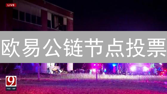 欧易公链节点投票：社区治理与未来发展方向