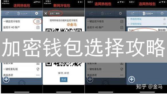 加密钱包选择攻略：安全、便捷与控制权的平衡