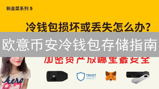欧意币安冷钱包存储指南：安全转移数字资产