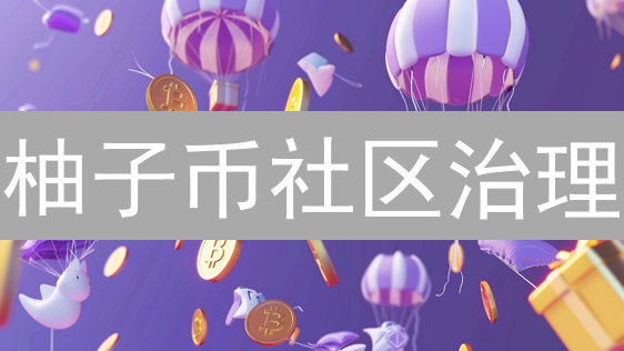 柚子币社区治理：创新探索与未来展望