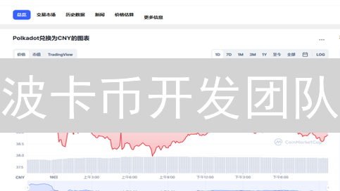 波卡币开发团队：去中心化创新引擎与多链生态构建