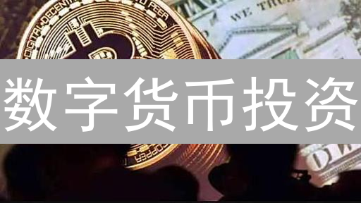 数字货币投资：风险识别与应对策略分析
