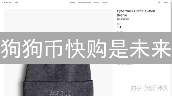 狗狗币快购是未来？揭秘迷因币的支付潜力！
