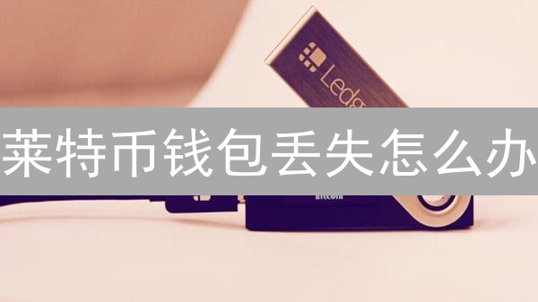 莱特币钱包丢失怎么办？终极恢复指南，别让你的币打水漂！