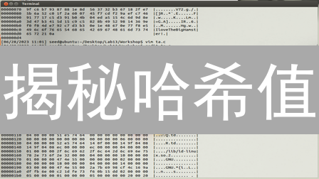 揭秘哈希值：区块链安全的守护神？(2024最新)
