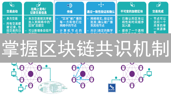 掌握区块链共识机制：5分钟从入门到精通！