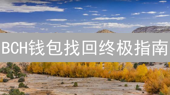 BCH钱包找回终极指南：丢币不用慌，7招教你安全寻回！