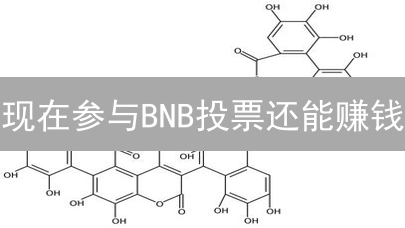 现在参与BNB投票还能赚钱？2024年币安超级节点奖励攻略！
