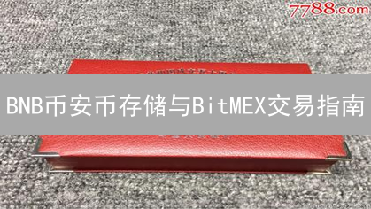 BNB币安币存储与BitMEX交易指南：安全策略与风险管理