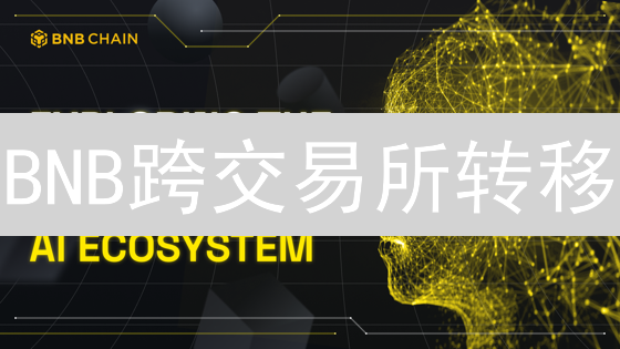 BNB跨交易所转移：避免资产丢失的终极指南！