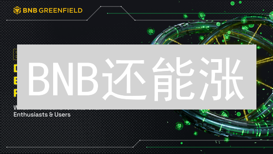 BNB还能涨？币安币未来投资价值深度解析！
