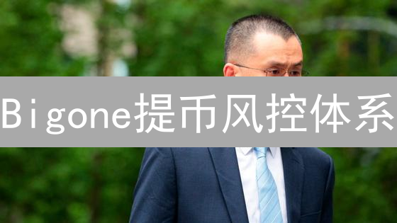 Bigone提币风控体系：多重验证保障用户资产安全