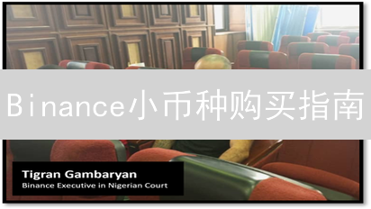 Binance小币种购买指南：流程与风险评估全解析