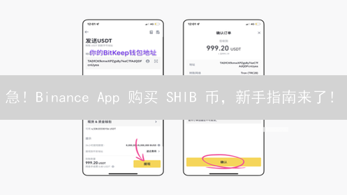 急！Binance App 购买 SHIB 币，新手指南来了！
