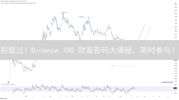 别错过！Binance IDO 财富密码大揭秘，限时参与！