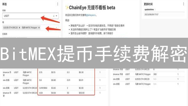 BitMEX提币手续费解密：省钱秘籍与避坑指南，速看！