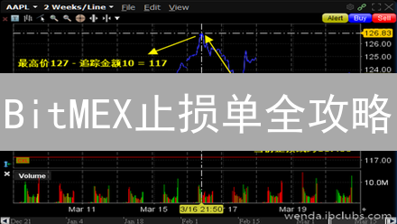 BitMEX止损单全攻略：避坑！新手也能轻松上手？
