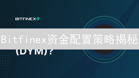 Bitfinex资金配置策略揭秘：保障安全，提升盈利！