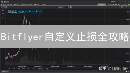 Bitflyer自定义止损全攻略：精准风控，优化交易！