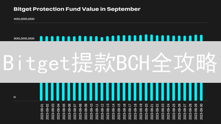 Bitget提款BCH全攻略：像专家一样安全提币！