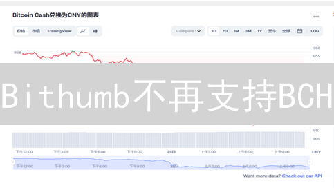 Bithumb不再支持BCH？币安币现金购买终极指南！