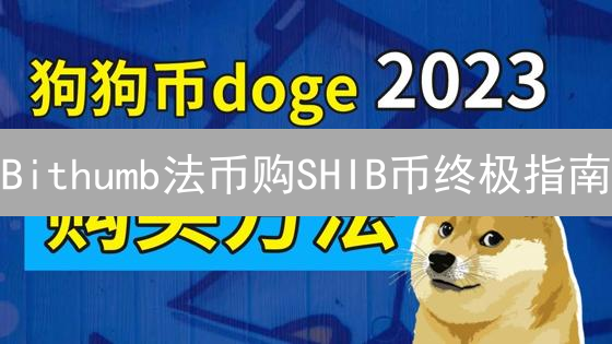 Bithumb法币购SHIB币终极指南：避坑必看！