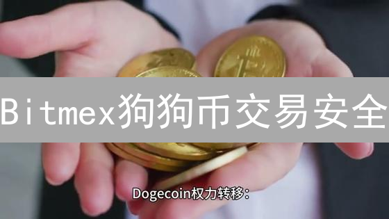 Bitmex狗狗币交易安全：避坑指南！风险高，安全更重要！