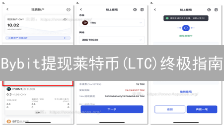 Bybit提现莱特币(LTC)终极指南：安全、高效，避坑全攻略！