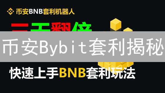 币安Bybit套利揭秘：如何抓住加密货币价格差异？