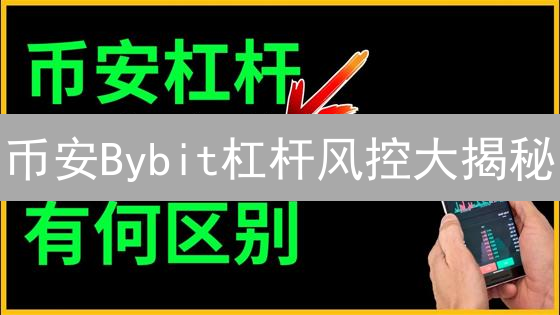 币安Bybit杠杆风控大揭秘：新手也能稳健交易？