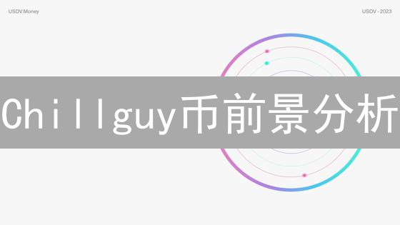 Chillguy币前景分析：技术、应用与投资风险评估