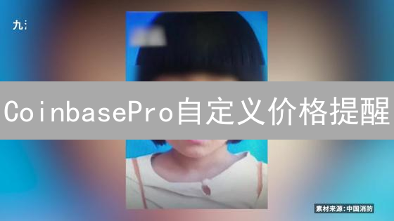 CoinbasePro自定义价格提醒：市场脉搏与交易先机