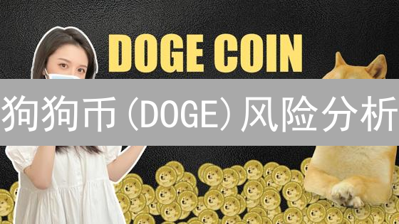狗狗币(DOGE)风险分析：波动性与集中化风险