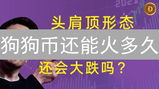 狗狗币还能火多久？深度剖析DOGE币的风险与机遇！