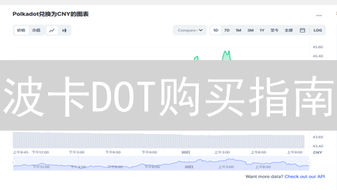 波卡DOT购买指南：畅游平行链宇宙的起点