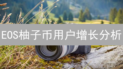 EOS柚子币用户增长分析：Block.one的光环与挑战