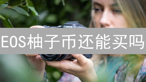 EOS柚子币还能买吗？Coinbase购买EOS全攻略（假设篇）