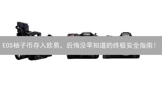 EOS柚子币存入欧易，后悔没早知道的终极安全指南！