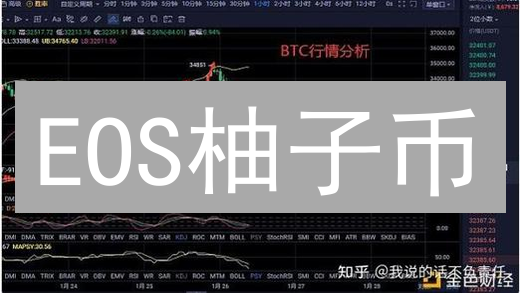 EOS柚子币：昔日以太坊杀手，今日是否依旧值得投资？深度剖析！