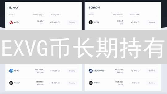 EXVG币长期持有？深度剖析潜力与风险！