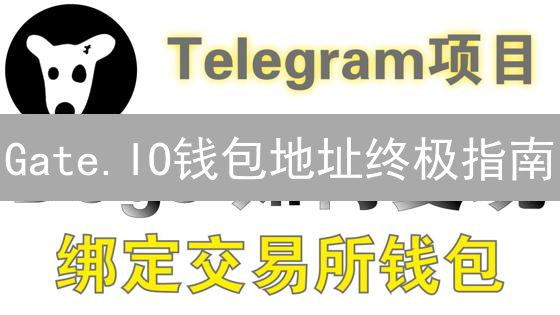 Gate.IO钱包地址终极指南：新手也能轻松上手！