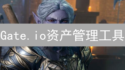 Gate.io资产管理工具：新手友好探索及风险分析 (15-30字)