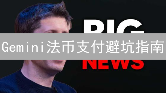Gemini法币支付避坑指南：常见问题及解决策略🔥