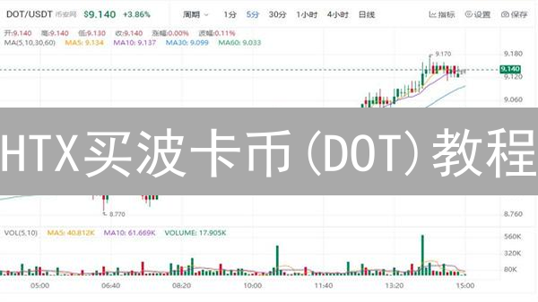 HTX买波卡币(DOT)教程：新手也能轻松学会？看这篇就够了！