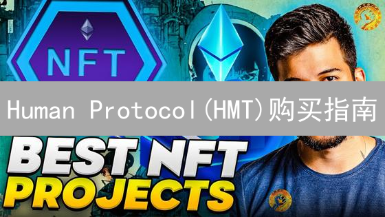 Human Protocol(HMT)购买指南：新手入门与交易所选择