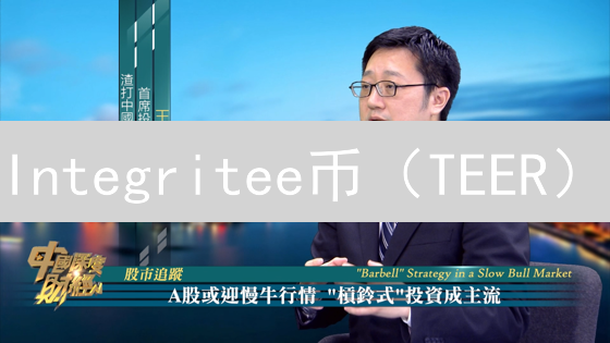 Integritee币（TEER）：隐私计算新星？五大投资价值深度解析！