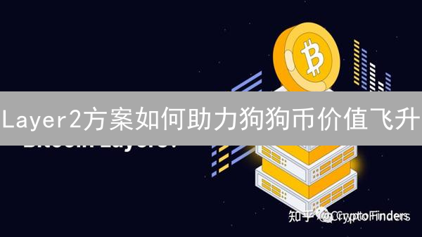 Layer2方案如何助力狗狗币价值飞升？深度解析
