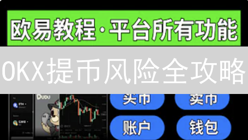 OKX提币风险全攻略：新手到高手提币指南，安全提币必看