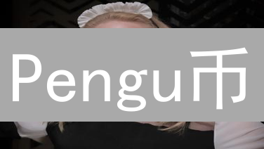 Pengu币：下一个百倍币？五大维度深度解析！